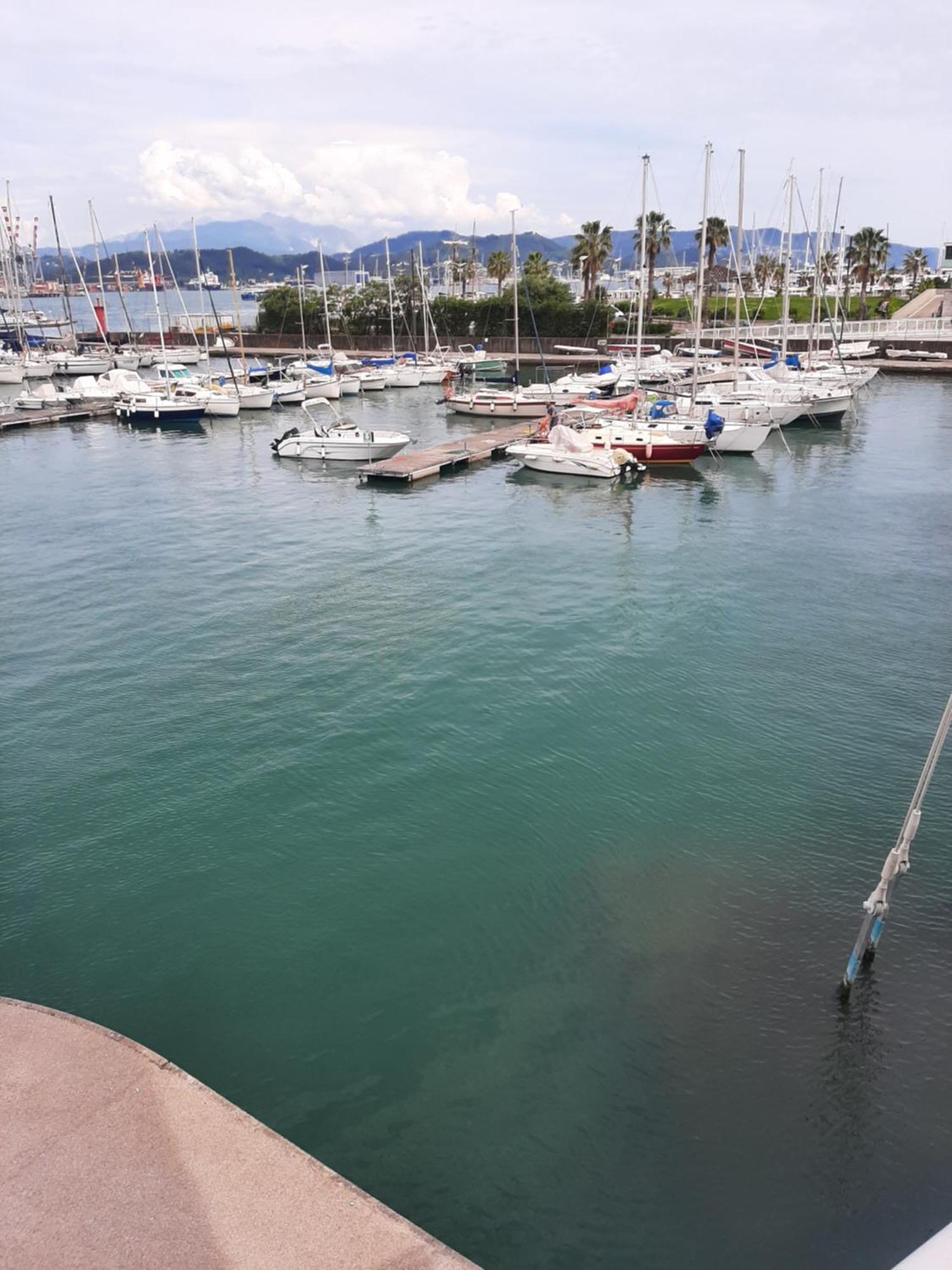 Casa Vacanza Dh 斯培西亚 外观 照片