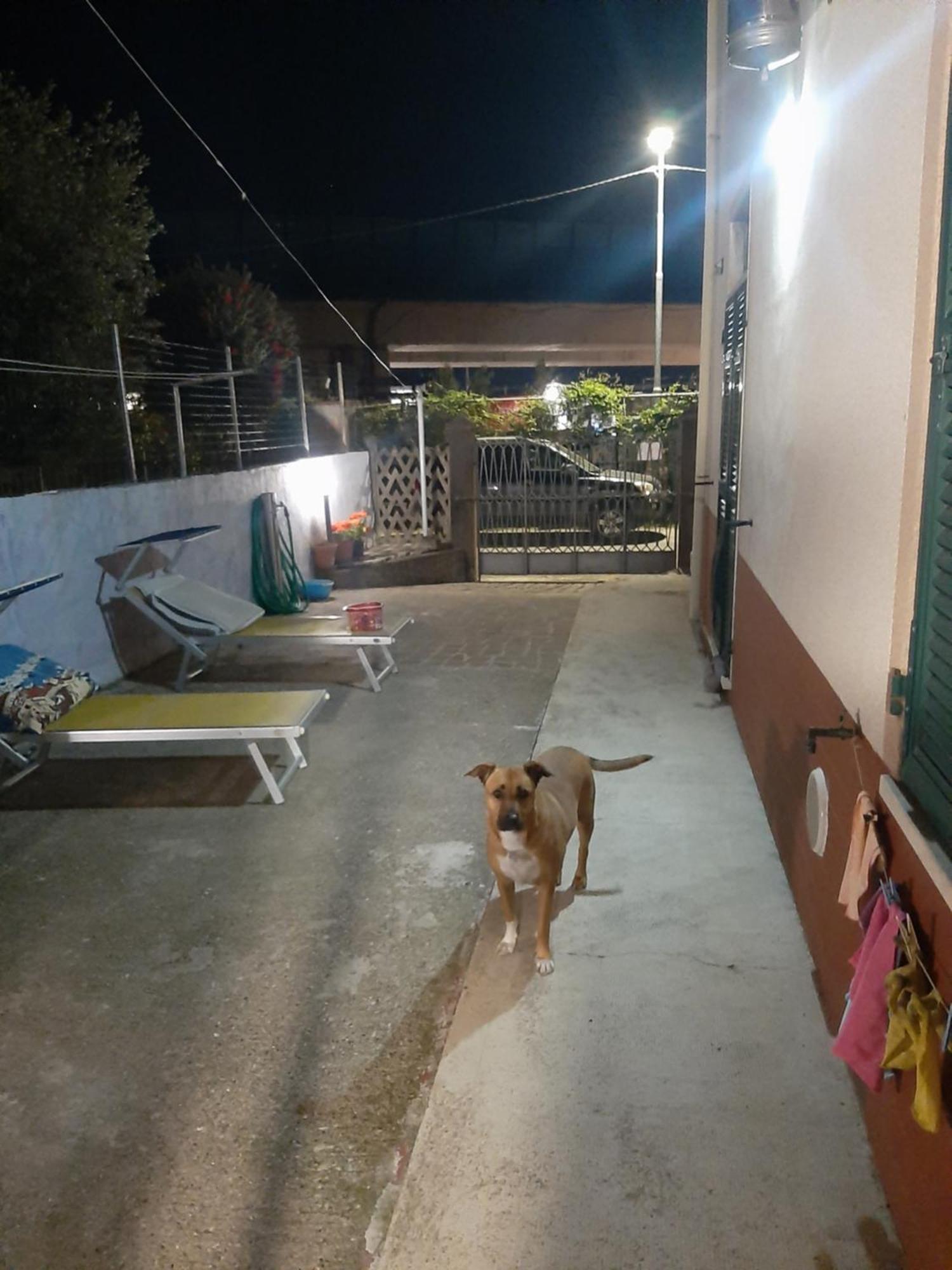 Casa Vacanza Dh 斯培西亚 外观 照片